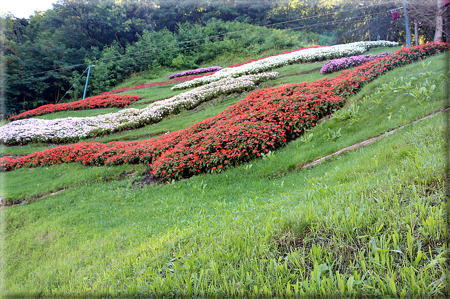 foto Giardini Trauttmansdorff - Boschi del Mondo